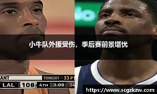 小牛队外援受伤，季后赛前景堪忧